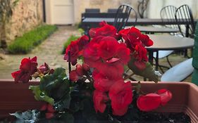 19 Borgo Cavour